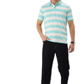 Peter England Men's Cotton Regular Fit Polo T-Shirt