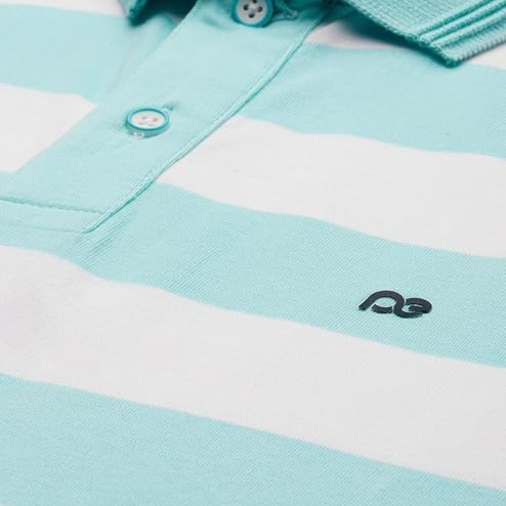 Peter England Men's Cotton Regular Fit Polo T-Shirt